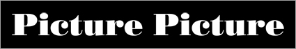 Picture Picture �`�f�U�C���O�b�Y�u�����h�`